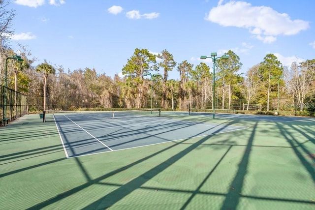 31203 HANNIGAN PLACE, Wesley Chapel, FL 33543