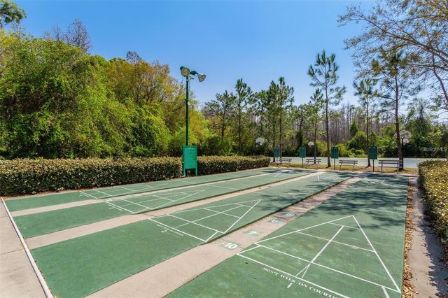 31203 HANNIGAN PLACE, Wesley Chapel, FL 33543