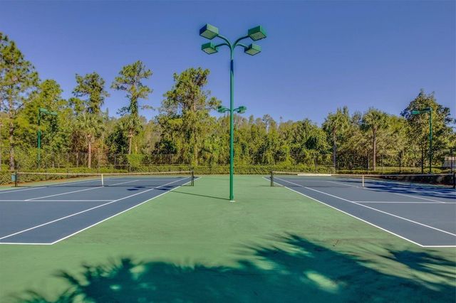 31203 HANNIGAN PLACE, Wesley Chapel, FL 33543