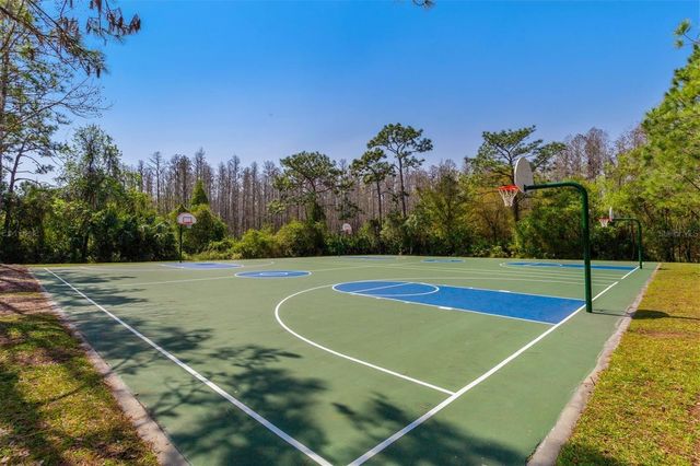 31203 HANNIGAN PLACE, Wesley Chapel, FL 33543