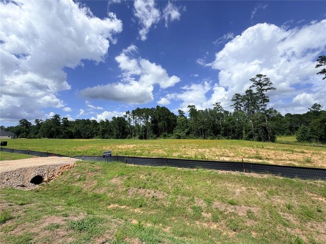 216 Gonsoulin Lane, Pinehurst, TX 77362