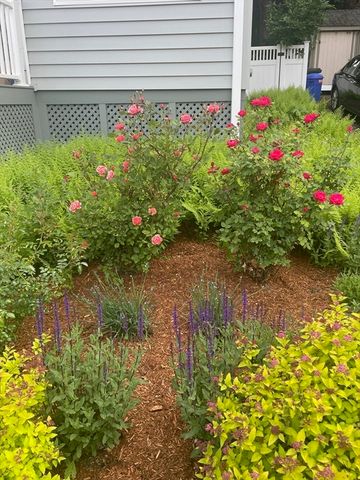 77 Lynde Street, Melrose, MA 02176