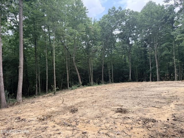 831 Remington Rd 5 AC, Jamestown, TN 38556