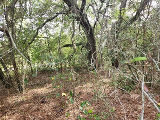Lot 27 SW PINE BLUFFS ROAD, Dunnellon, FL 34431