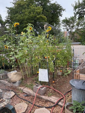 341 McFarland Court, Grand Junction, CO 81501