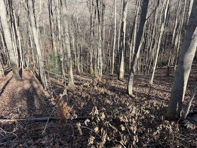 LOT 2 Doc Thomas Ridge Road, Blairsville, GA 30512