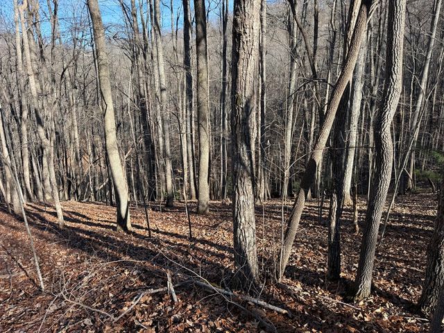 LOT 2 Doc Thomas Ridge Road, Blairsville, GA 30512