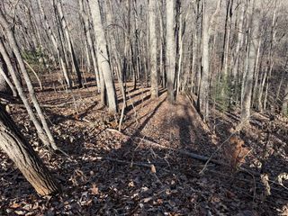 LOT 2 Doc Thomas Ridge Road, Blairsville, GA 30512