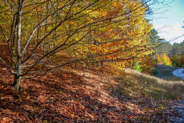 W Timber Lane, Empire, MI 49630