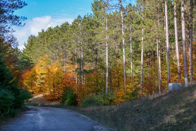 W Timber Lane, Empire, MI 49630