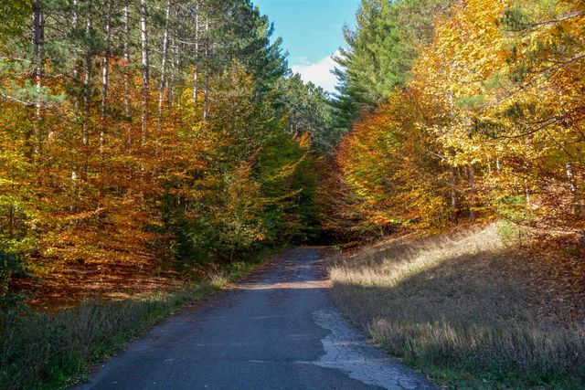 W Timber Lane, Empire, MI 49630