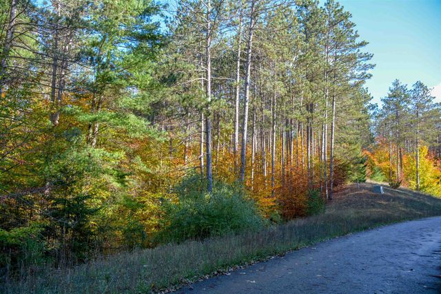 W Timber Lane, Empire, MI 49630