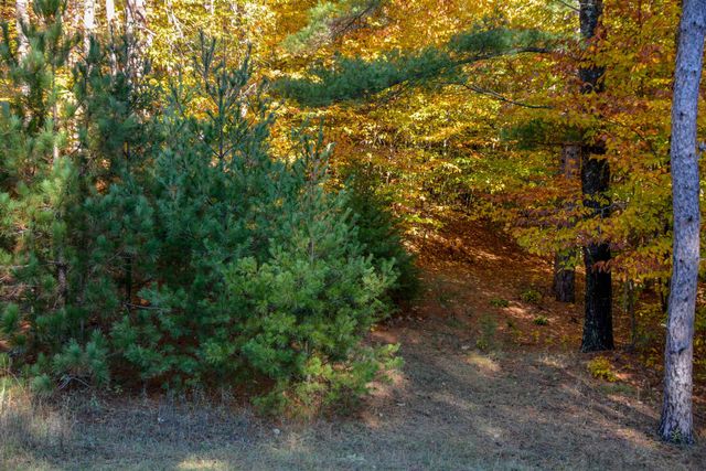 W Timber Lane, Empire, MI 49630