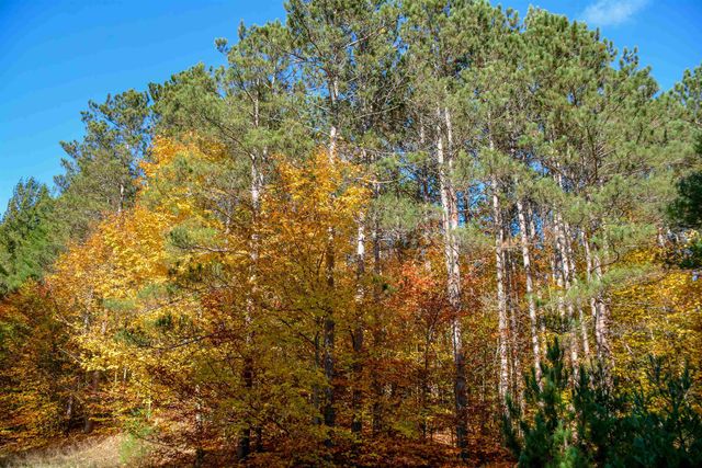 W Timber Lane, Empire, MI 49630