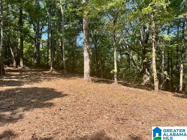 1110 29TH STREET N, Pell City, AL 35125