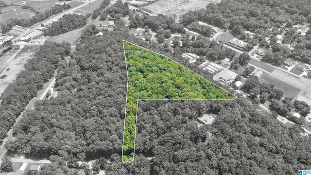 1110 29TH STREET N, Pell City, AL 35125