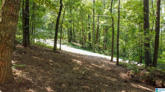 1110 29TH STREET N, Pell City, AL 35125