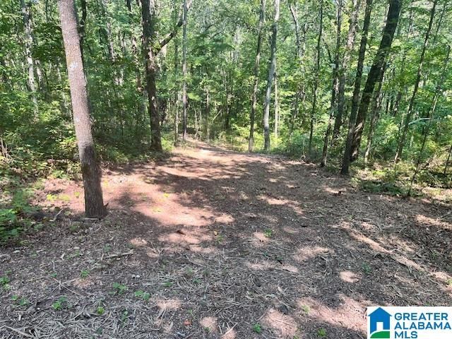 1110 29TH STREET N, Pell City, AL 35125