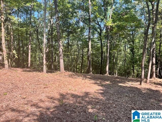 1110 29TH STREET N, Pell City, AL 35125