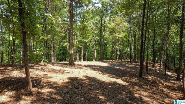 1110 29TH STREET N, Pell City, AL 35125