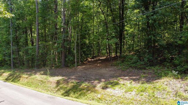 1110 29TH STREET N, Pell City, AL 35125