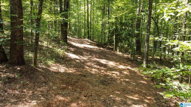 1110 29TH STREET N, Pell City, AL 35125