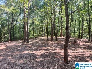 1110 29TH STREET N, Pell City, AL 35125