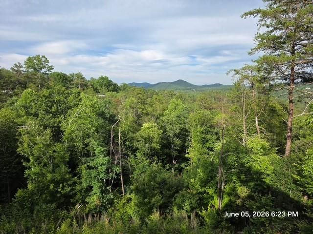 95 Ridgeline Lane, Mineral Bluff, GA 30559