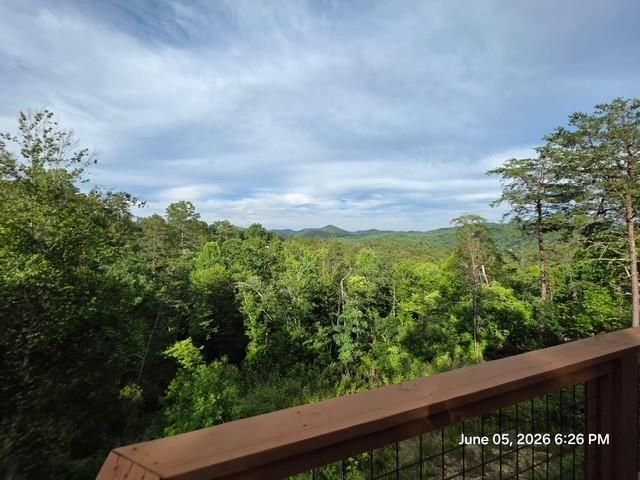 95 Ridgeline Lane, Mineral Bluff, GA 30559