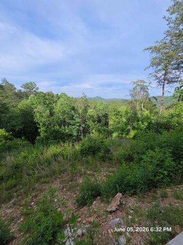 95 Ridgeline Lane, Mineral Bluff, GA 30559