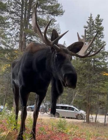 6871 Highway 9, Breckenridge, CO 80424