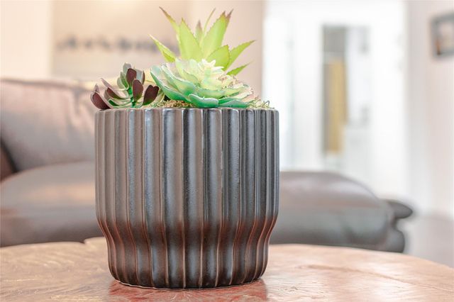 3604 Clawson RD 204, Austin, TX 78704