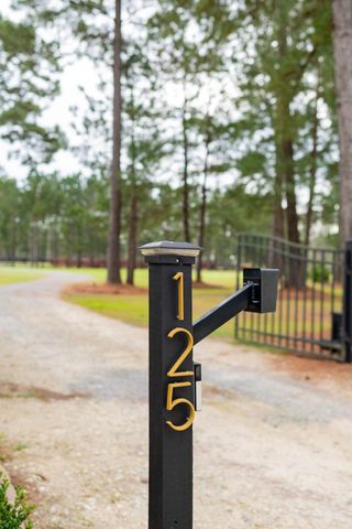 125 Chancing Bye Lane, Huger, SC 29450