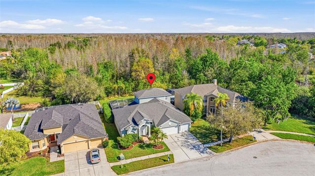 4103 HERITAGE LAKE COURT, Lutz, FL 33558