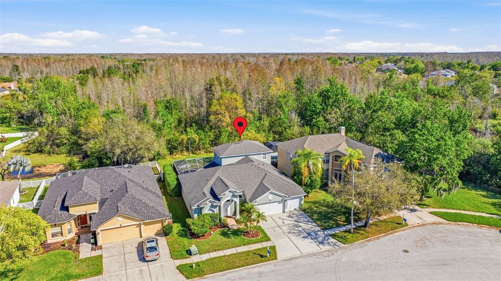 Image 39 of property listing at 4103 HERITAGE LAKE COURT, Lutz, FL 33558