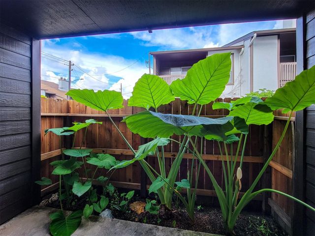 2601 S Braeswood Boulevard 1305, Houston, TX 77025