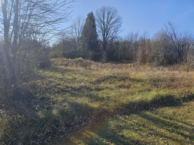 0 399 SR, Palmer, TN 37365