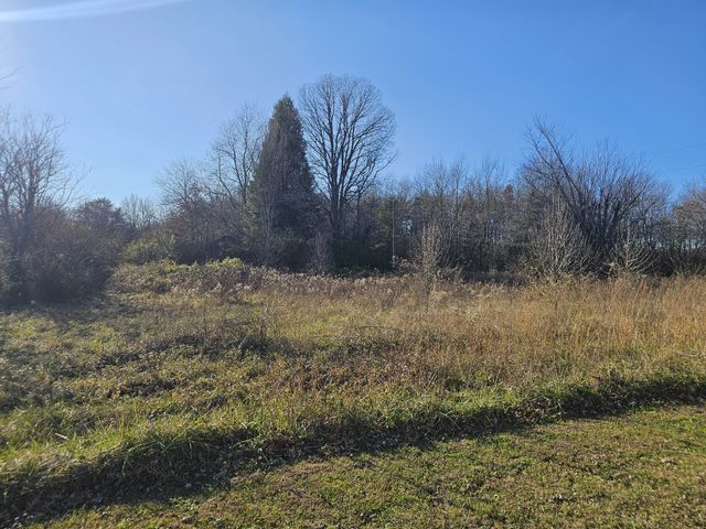 0 399 SR, Palmer, TN 37365
