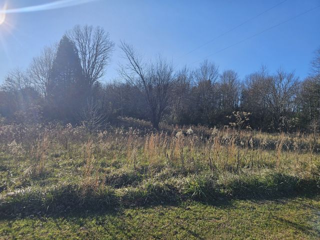 0 399 SR, Palmer, TN 37365