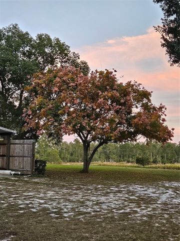 29723 FULLERVILLE ROAD, Deland, FL 32720