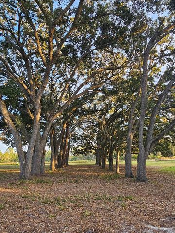 29723 FULLERVILLE ROAD, Deland, FL 32720