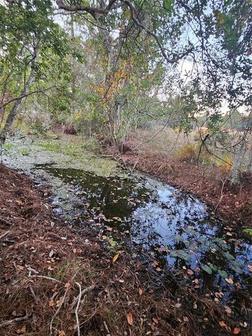 29723 FULLERVILLE ROAD, Deland, FL 32720