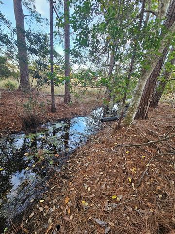 29723 FULLERVILLE ROAD, Deland, FL 32720