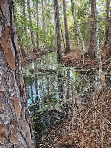 29723 FULLERVILLE ROAD, Deland, FL 32720