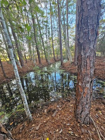 29723 FULLERVILLE ROAD, Deland, FL 32720