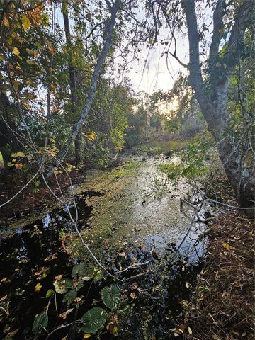 29723 FULLERVILLE ROAD, Deland, FL 32720