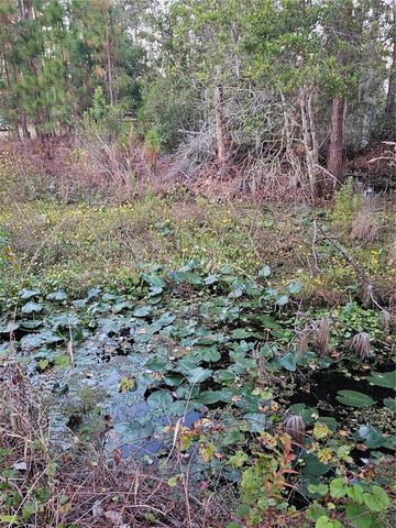 29723 FULLERVILLE ROAD, Deland, FL 32720