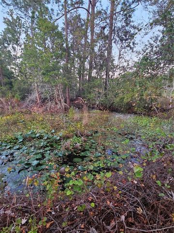 29723 FULLERVILLE ROAD, Deland, FL 32720