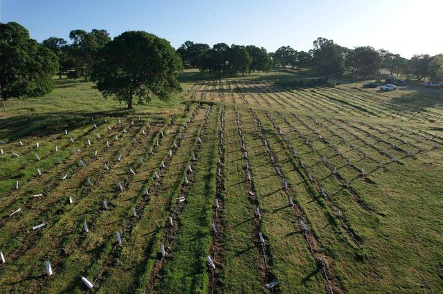 21271 Latrobe Rd, Plymouth, CA 95669