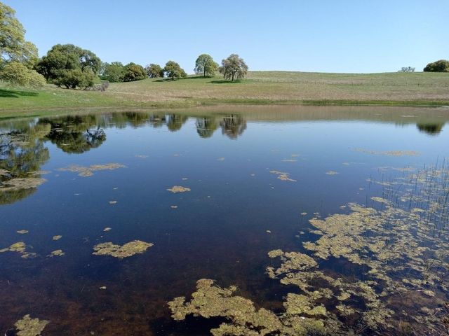 21271 Latrobe Rd, Plymouth, CA 95669